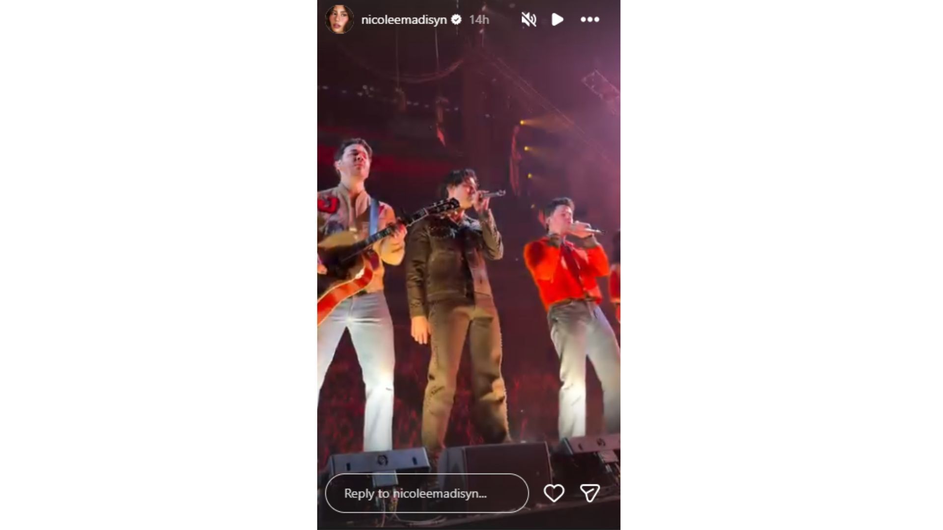 A look at Nicole&#039;s view of the Jonas Brothers concert. (Credit: @nicoleemadisyn)