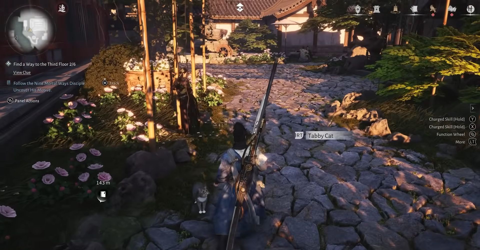 Pet the tabby cat (Image via NetEase Games || JorRaptor on YouTube)