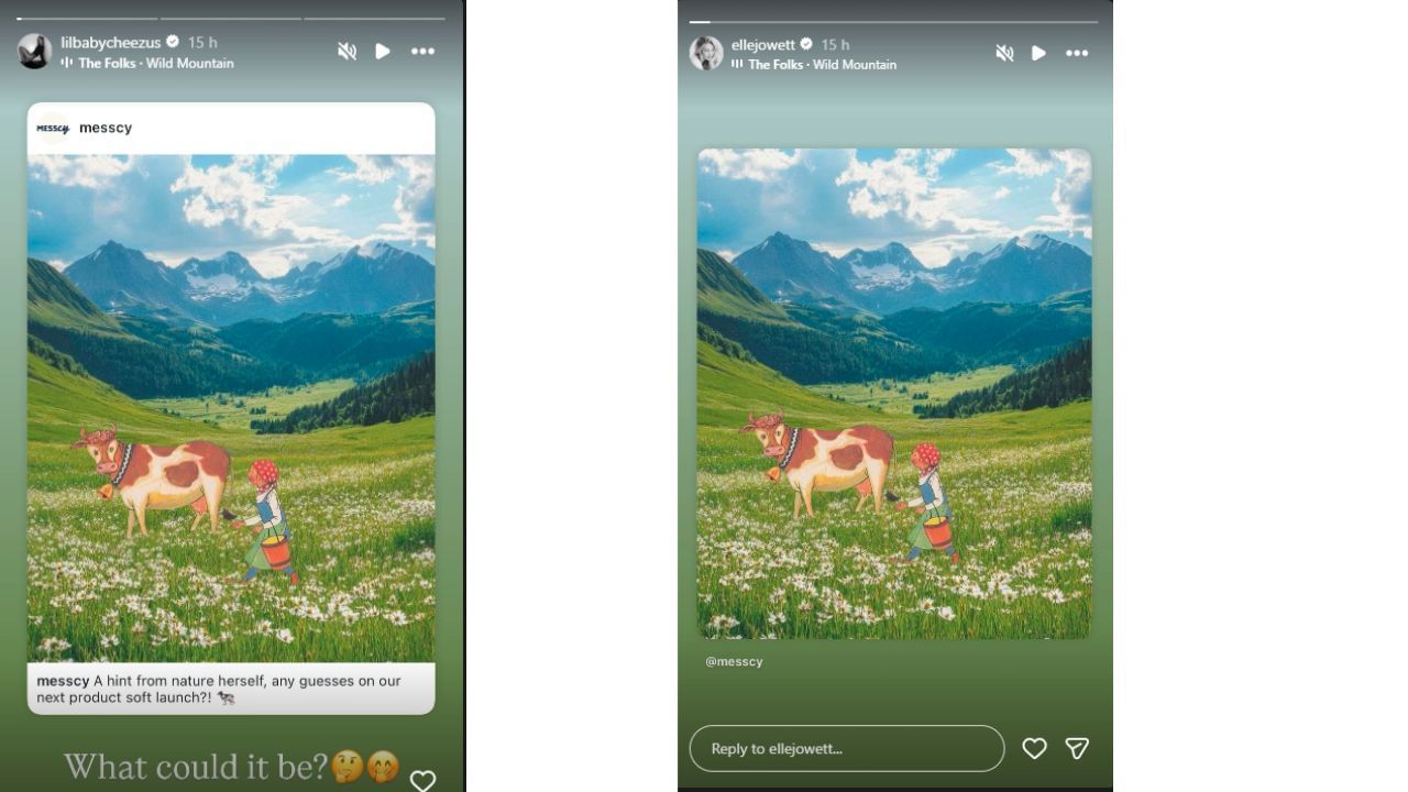 (Image source-Elle Jowett/Chase Carter Bellinger/ Instagram)