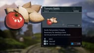 Tomatoes in Palworld offer some of the best mid- to late-game food recipes that give meaningful buffs for both combat and farming (Image via PocketPair)