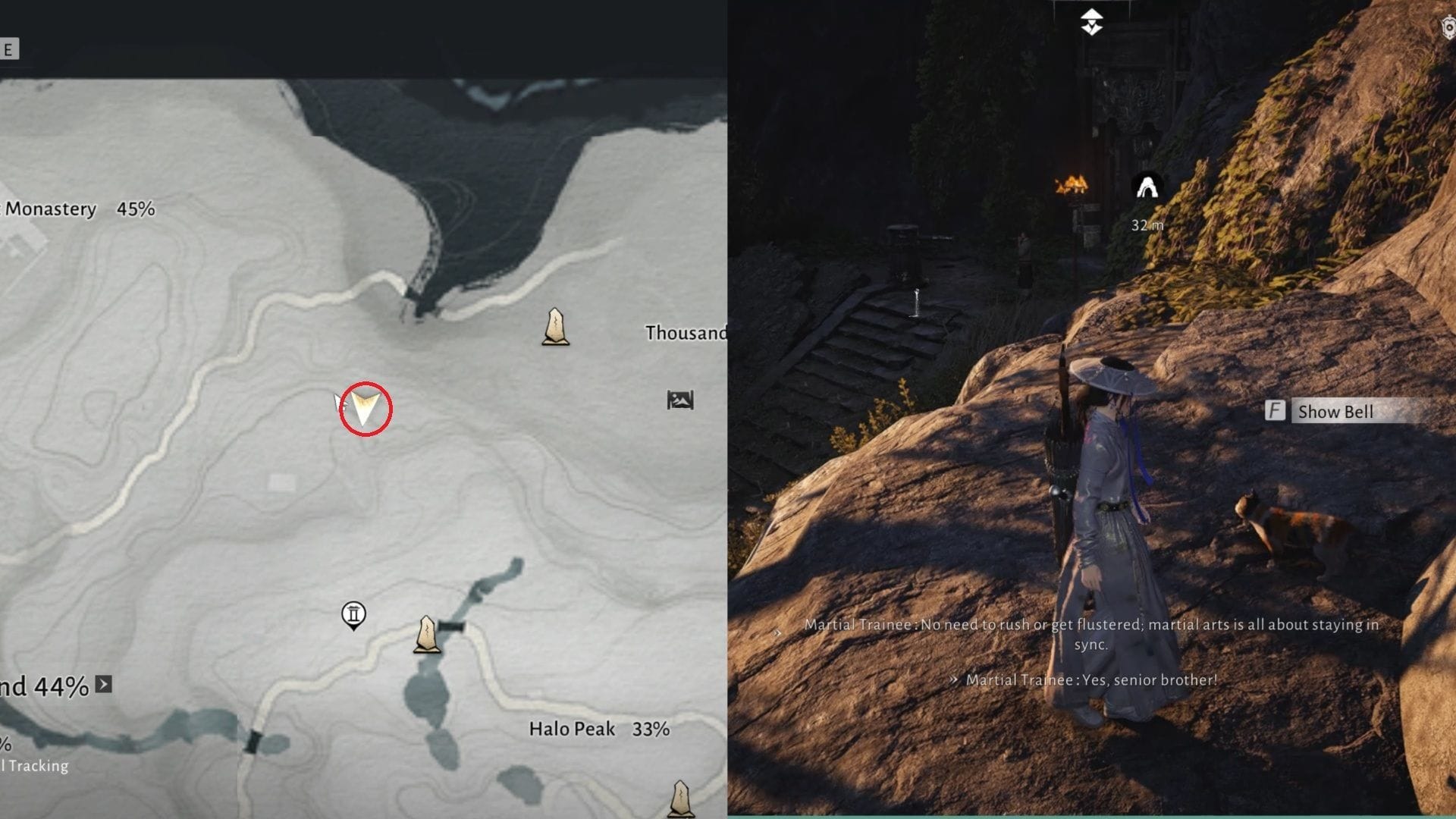 Location of the second cat (Image via NetEase)