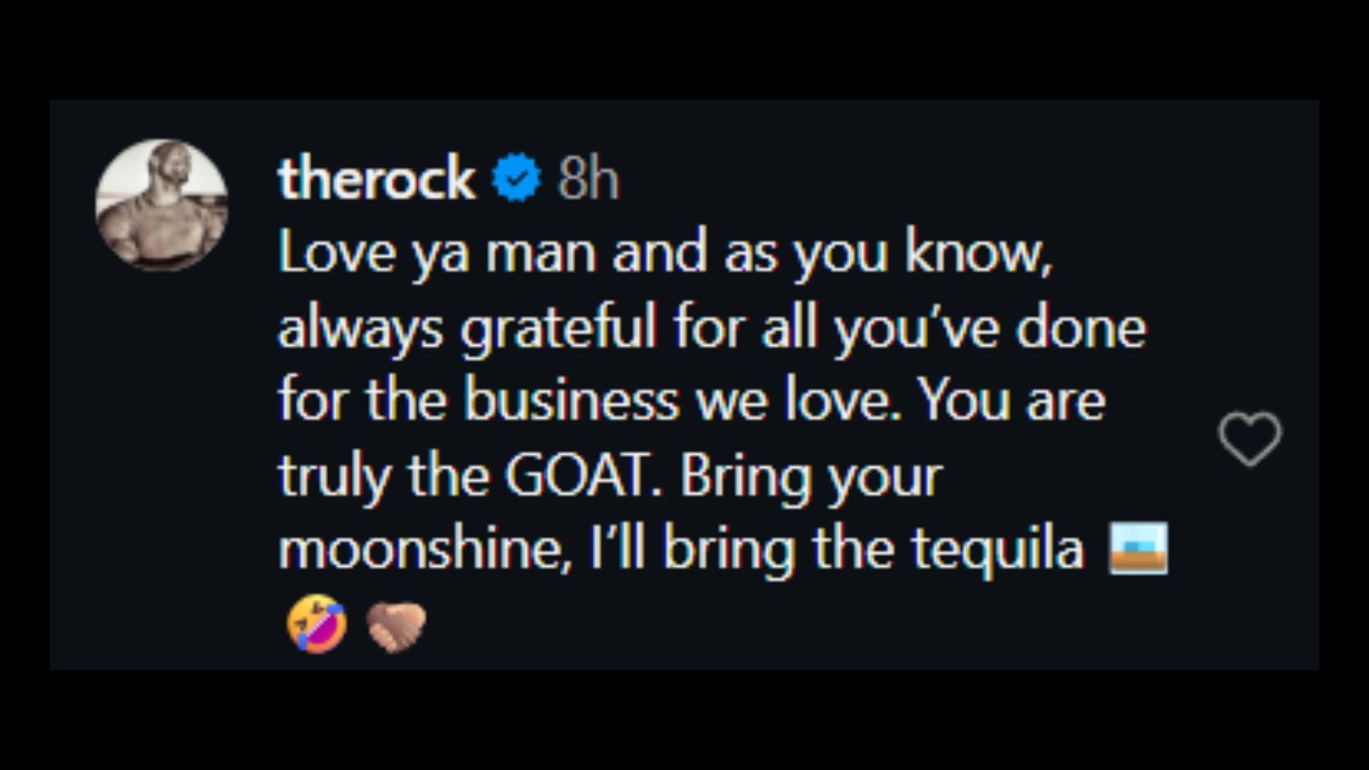 Screenshot of The Rock&#039;s comment [Image via: @johncena on Instagram]