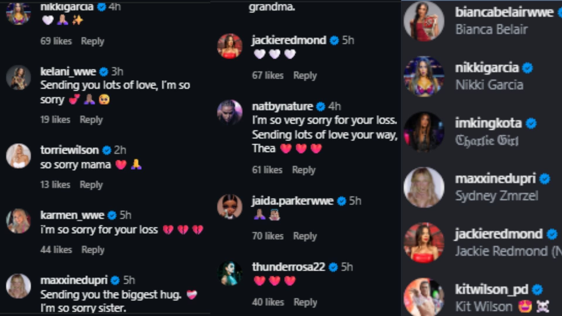 Bianca Belair and several other WWE Superstars reached out in the comments and had something to say to Zelina Vega (Picture Credit: Zelina Vega&#039;s Instagram)