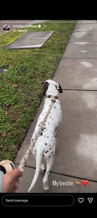 Rodman's Instagram Story featuring a dalmatian, dated Tuesday, December 2, 2025 (Source: Instagram/trinity_rodman)