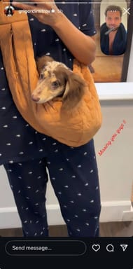 Dimitrov's Instagram story