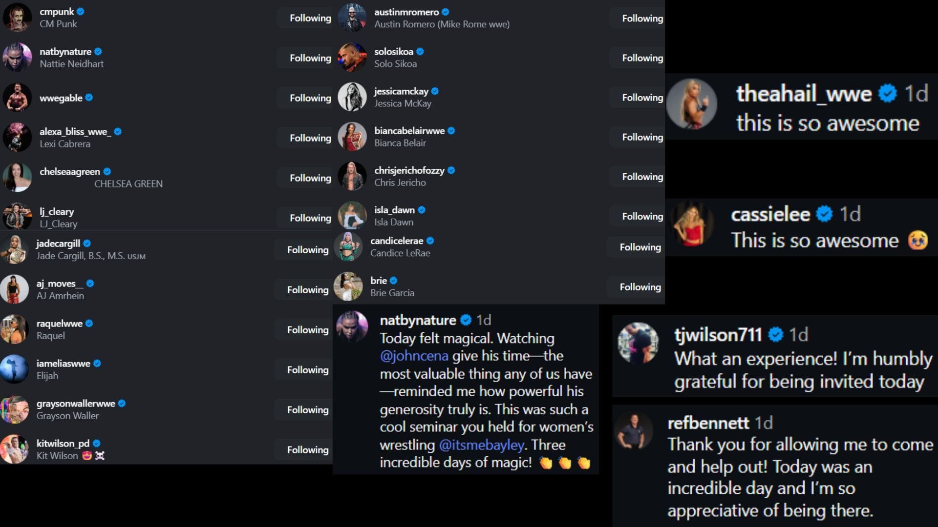 Screenshots of stars&#039; likes and comments [Image via @itsmebayley on Instagram]