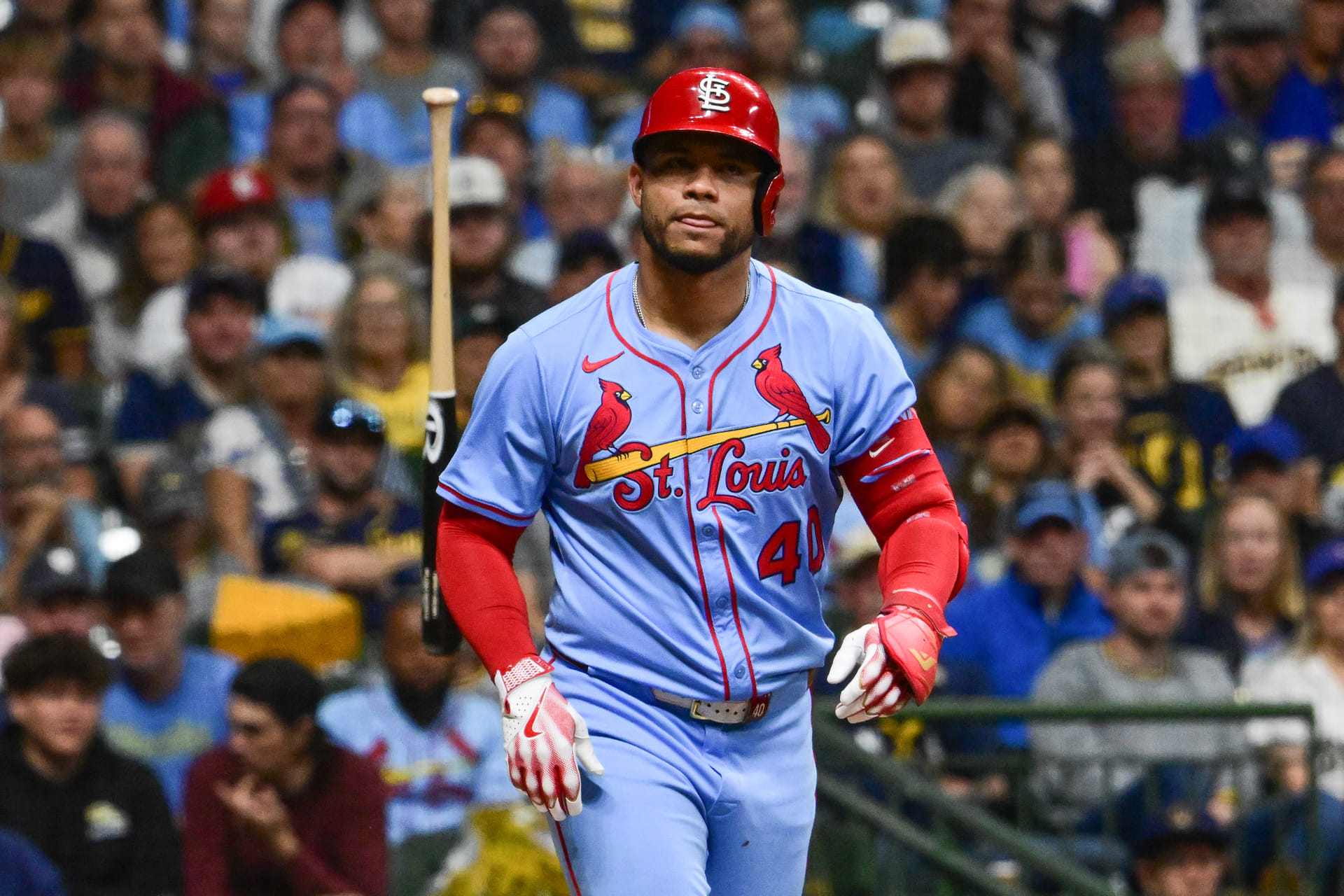 Amazing Contreras, Warren Provide Beef For Sox-yankees' Benches-clearing 'picnic' Design Photography Amazing Contreras, Warren Provide Beef For Sox-yankees' Benches-clearing 'picnic' Design Photography