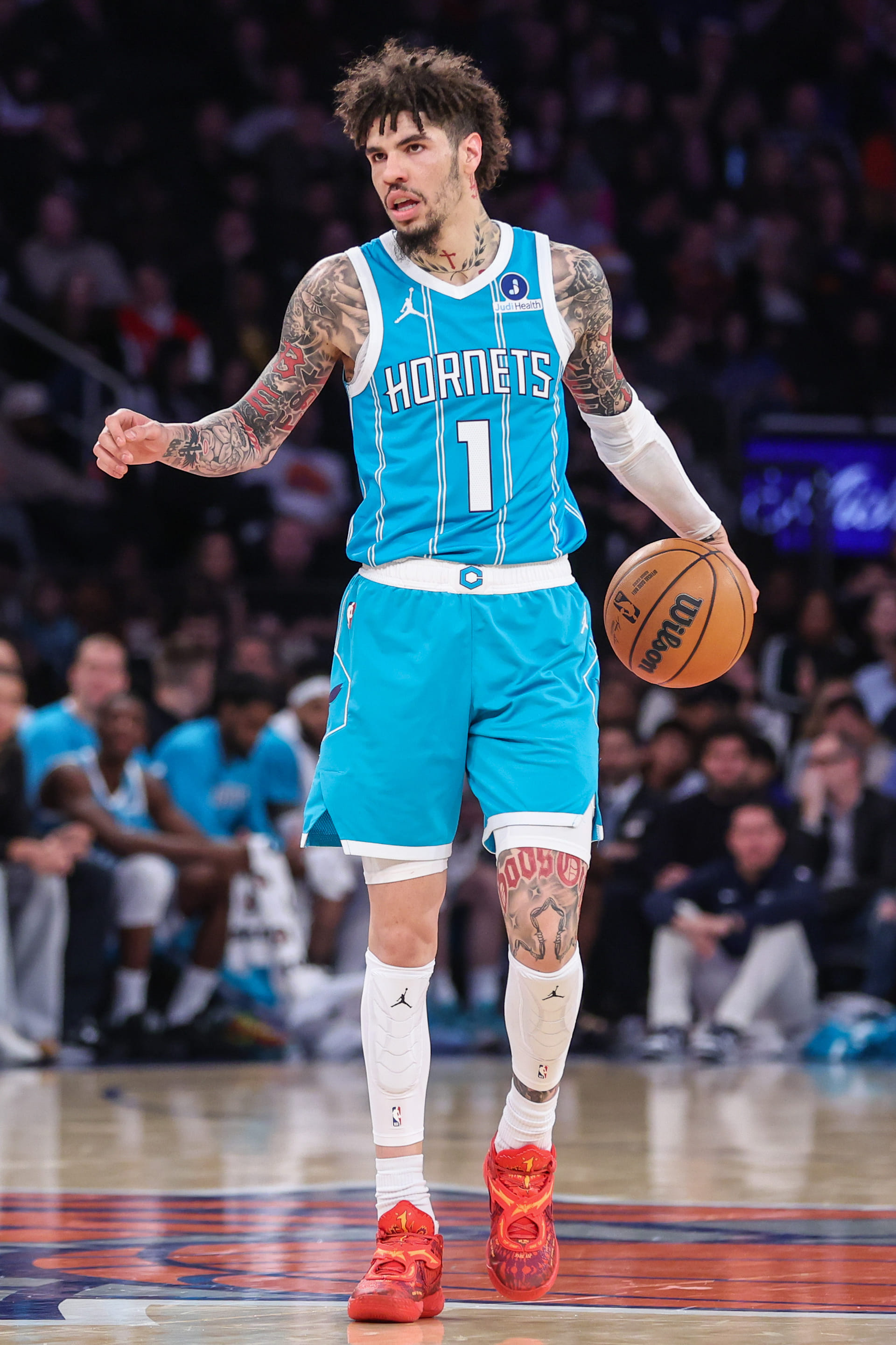 Strážca Charlotte Hornets LaMelo Ball - Zdroj: Imagn