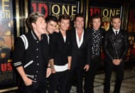 World Premiere Of 'One Direction This Is Us' (Image Source: Getty)