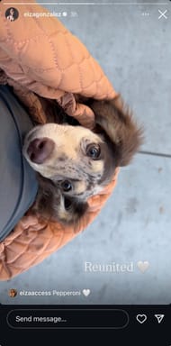 Eiza Gonzalez's Instagram story