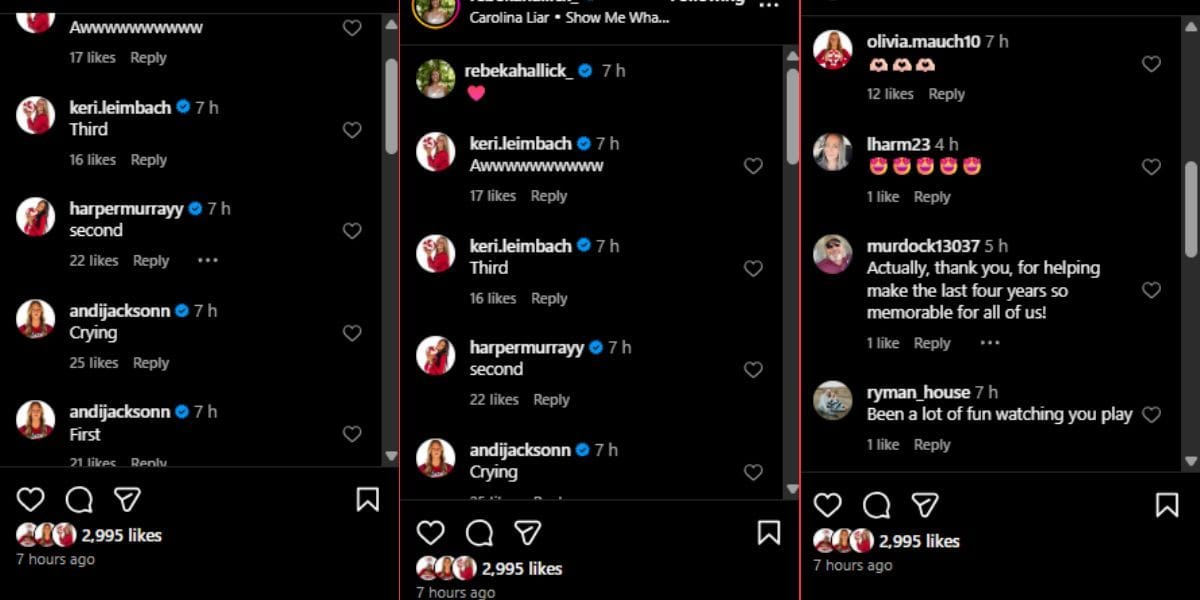 Screenshot of the Instagram post&#039;s comment section.