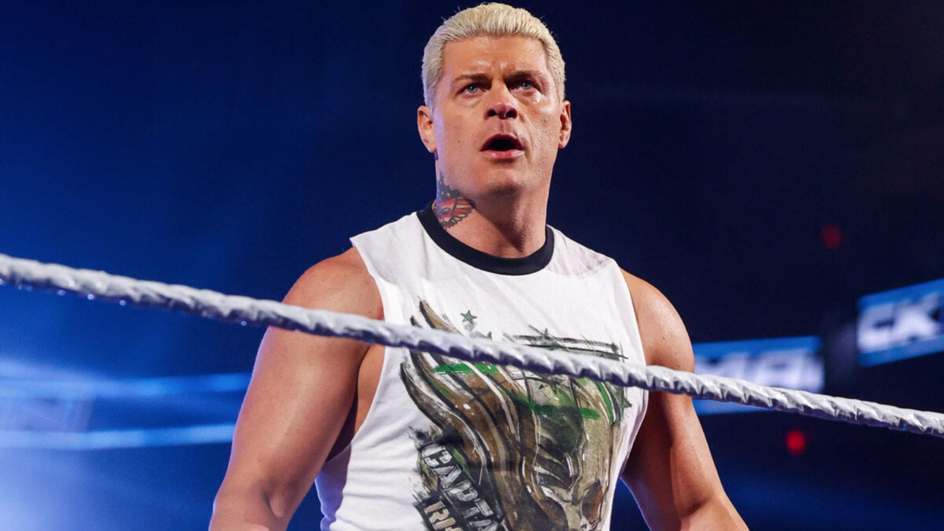 Cody Rhodes (Picture Courtesy: WWE.com)