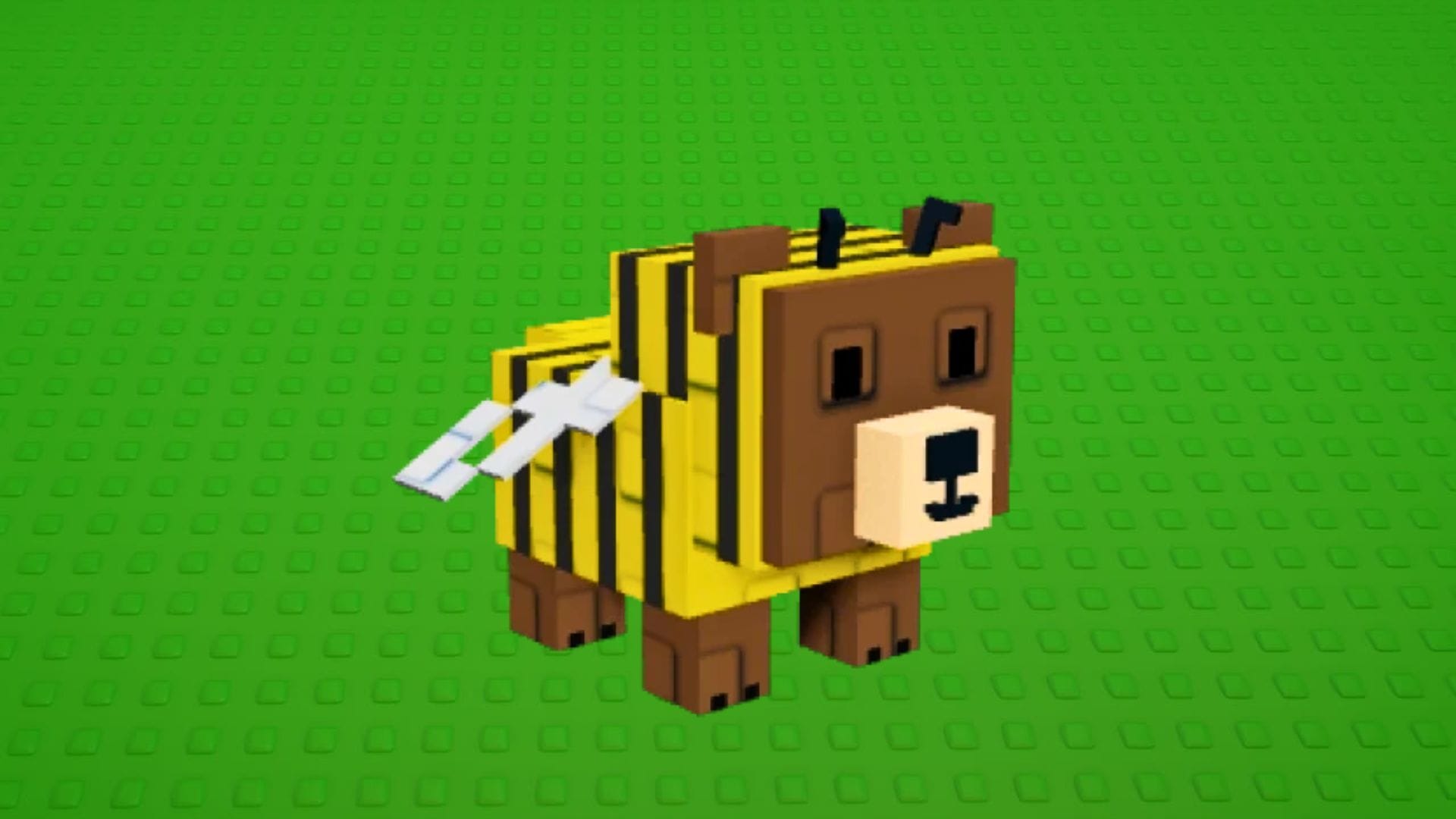 The Bear Bee pet (Image via Roblox)
