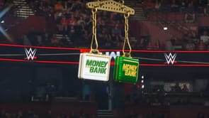 Former WWE Money in the Bank winner bags two gold medals outside pro wrestling