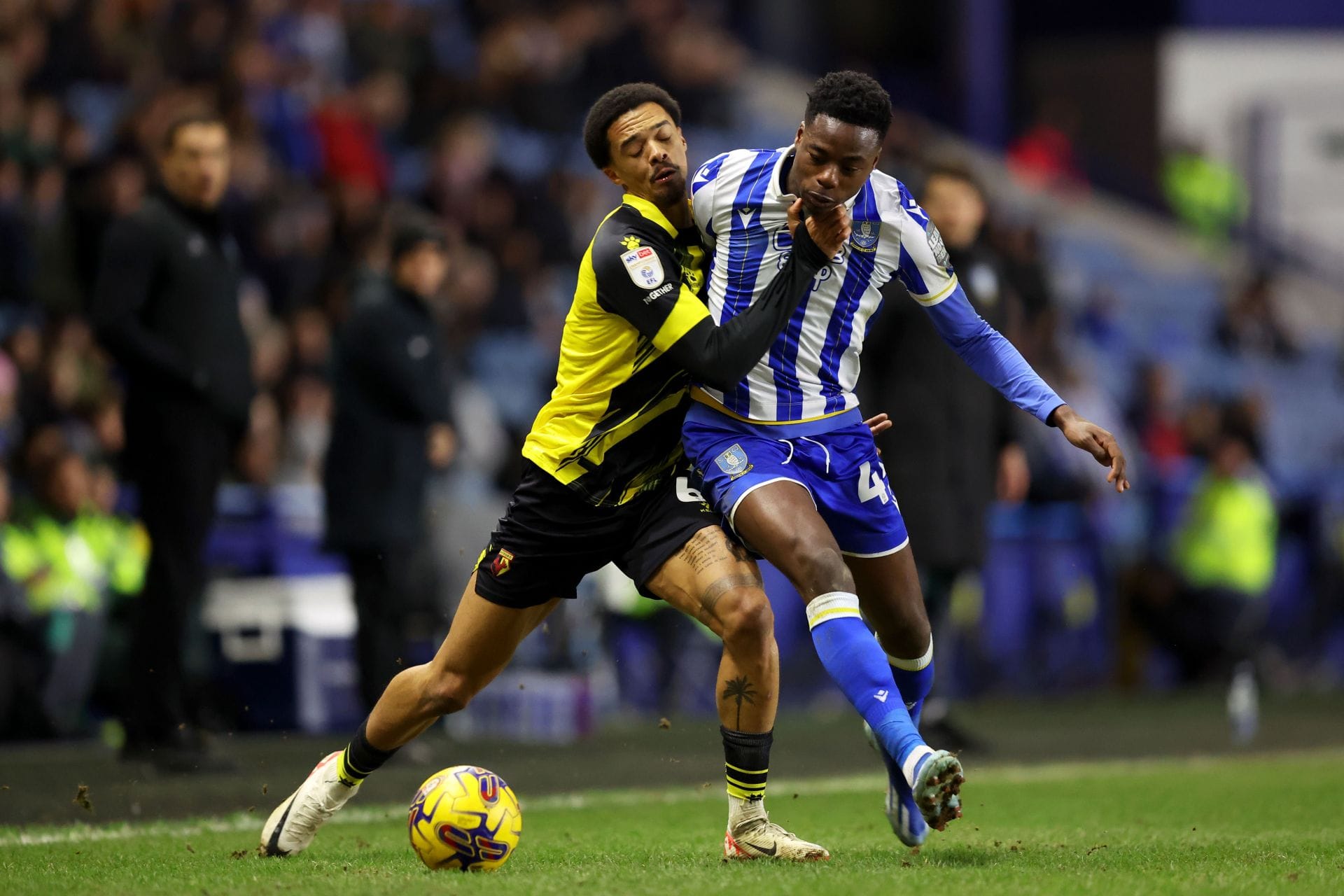 Sheffield Wednesday v Watford - Sky Bet Championship - Source: Getty