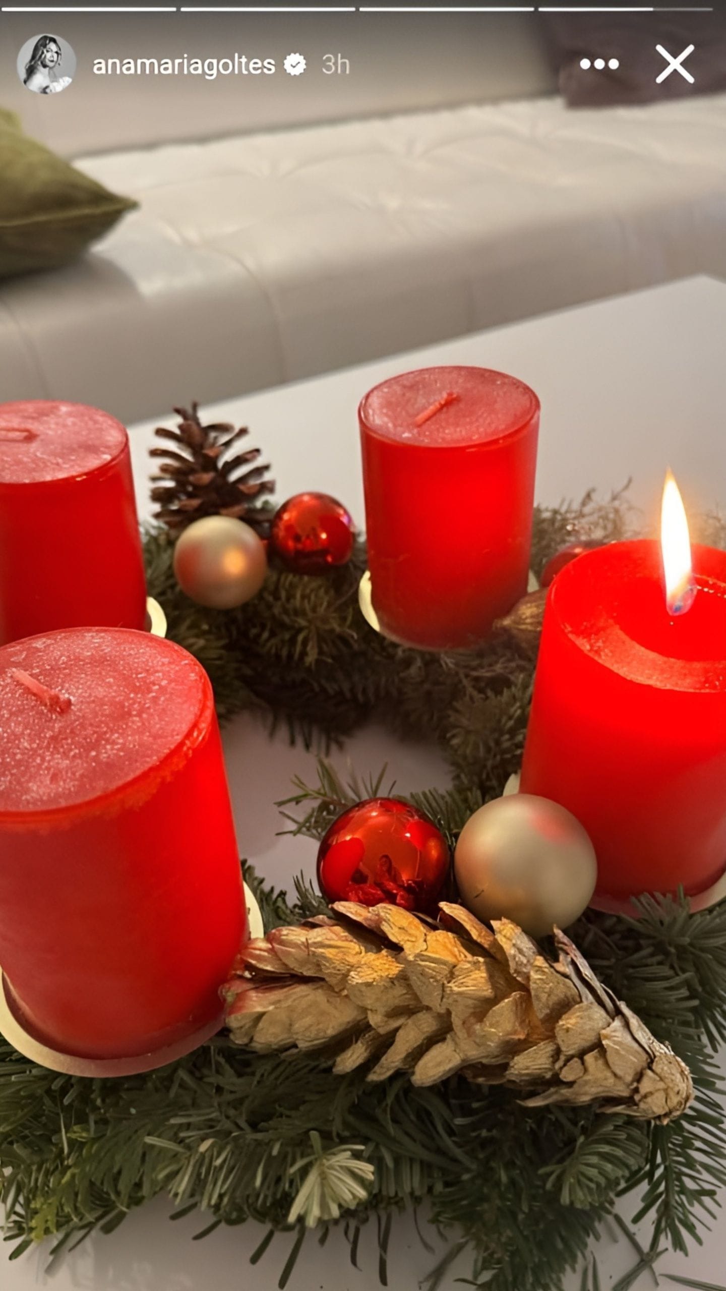 [Credit: IG/@anamariagoltes]