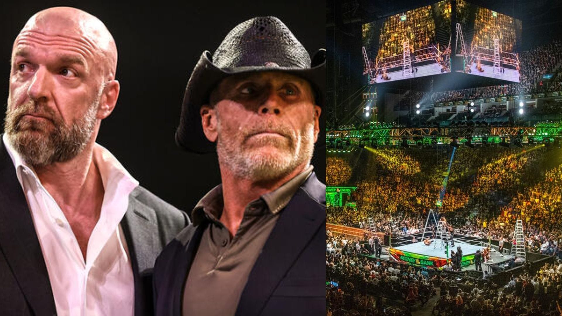 Shawn Michaels and Triple H [Image Credits: WWE.com]