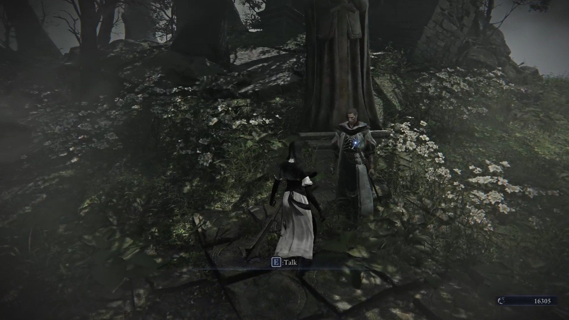Talk to the Scholar in the garden area (Image via FromSoftware)
