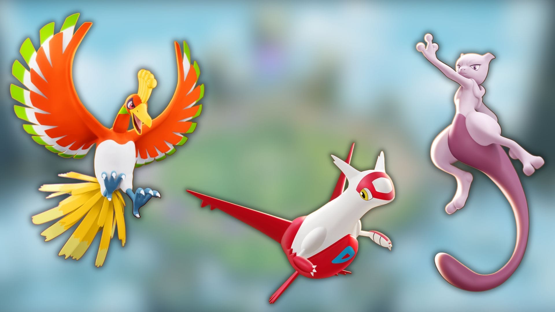 Licenses receiving changes this update (Image via The Pokemon Company)