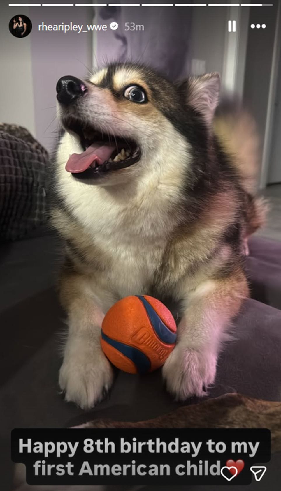 Luna is celebrating her birthday today [Image via @rhearipley_wwe on Instagram]