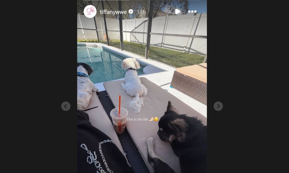 Tiffany Stratton shares a personal update amid a hiatus from WWE 2 Enter the title