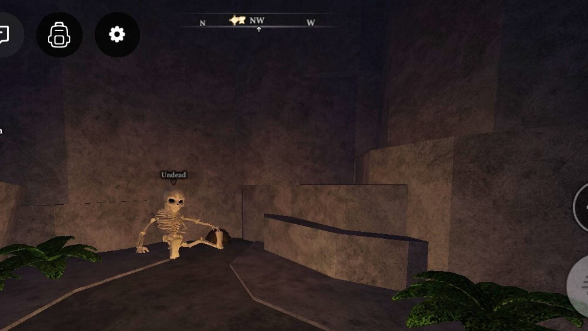 Location of the hidden cave (Image via Roblox)