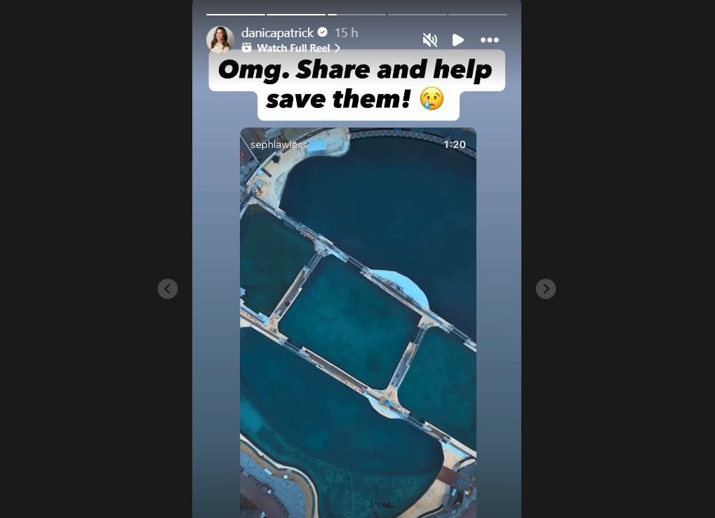 Danica Patrick reshared Seph Lawless&#039; post from October 26, 2025. Source: @danicapatrick via Instagram