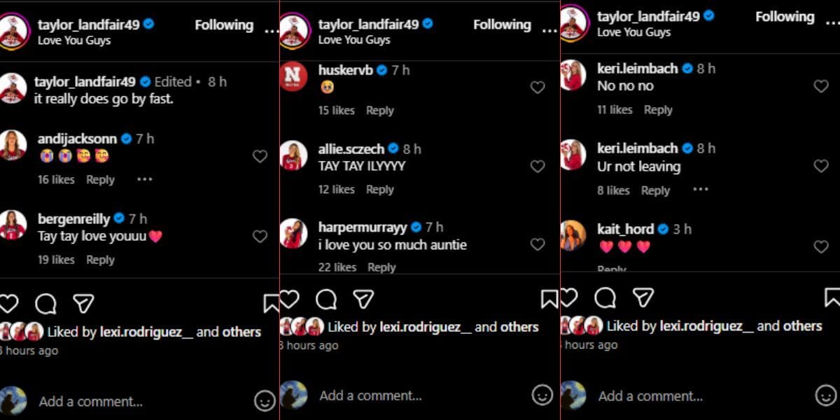 Screenshot of the Instagram post&#039;s comment section.
