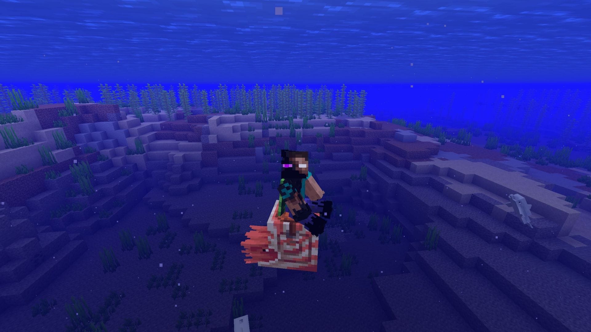 Cold Ocean biomes have the highest chance of spawning nautilus (Image via Sportskeeda Gaming || Mojang Studios)