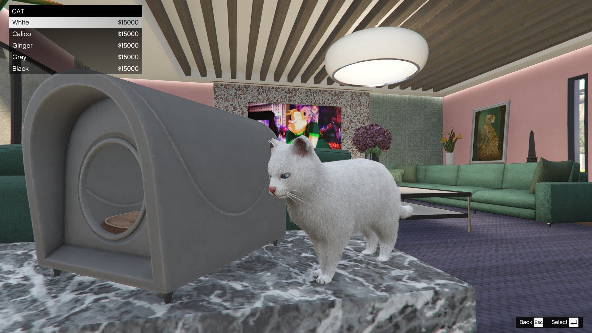 Options for cats in GTA Online A Safehouse in the Hills (Image via Sportskeeda Gaming || Rockstar Games)