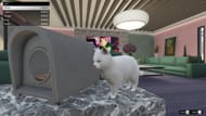 Cat options in GTA Online A Safehouse in the Hills (Image via Sportskeeda Gaming || Rockstar Games)