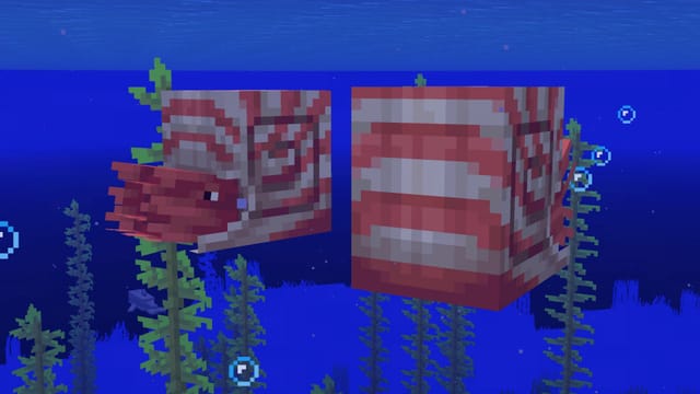 How to tame, ride, and breed nautilus in Minecraft