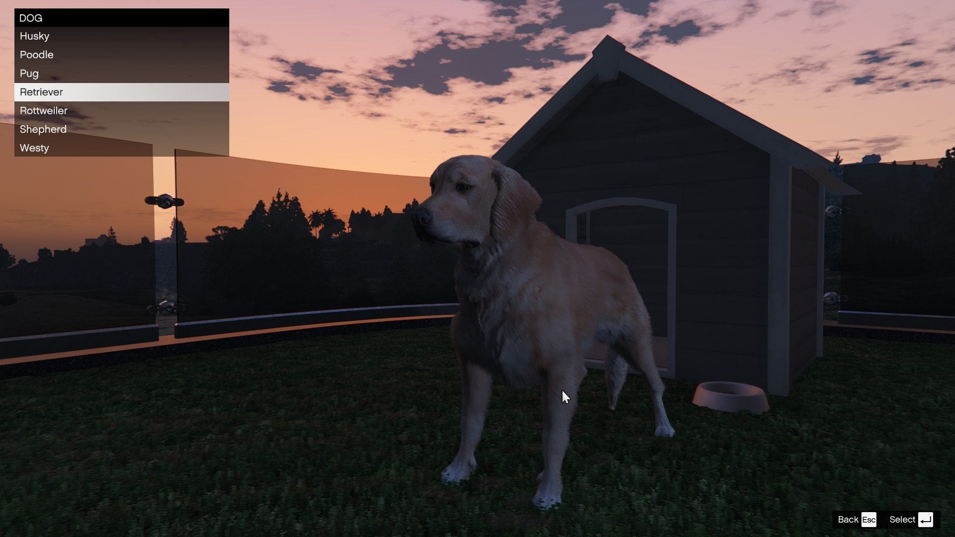 The dogs in GTA Online A Safehouse in the Hills make mansions feel more personal and lived-in (Image via Sportskeeda Gaming || Rockstar Games)