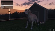 The dogs in GTA Online A Safehouse in the Hills make mansions feel more personal and lived-in (Image via Sportskeeda Gaming || Rockstar Games)