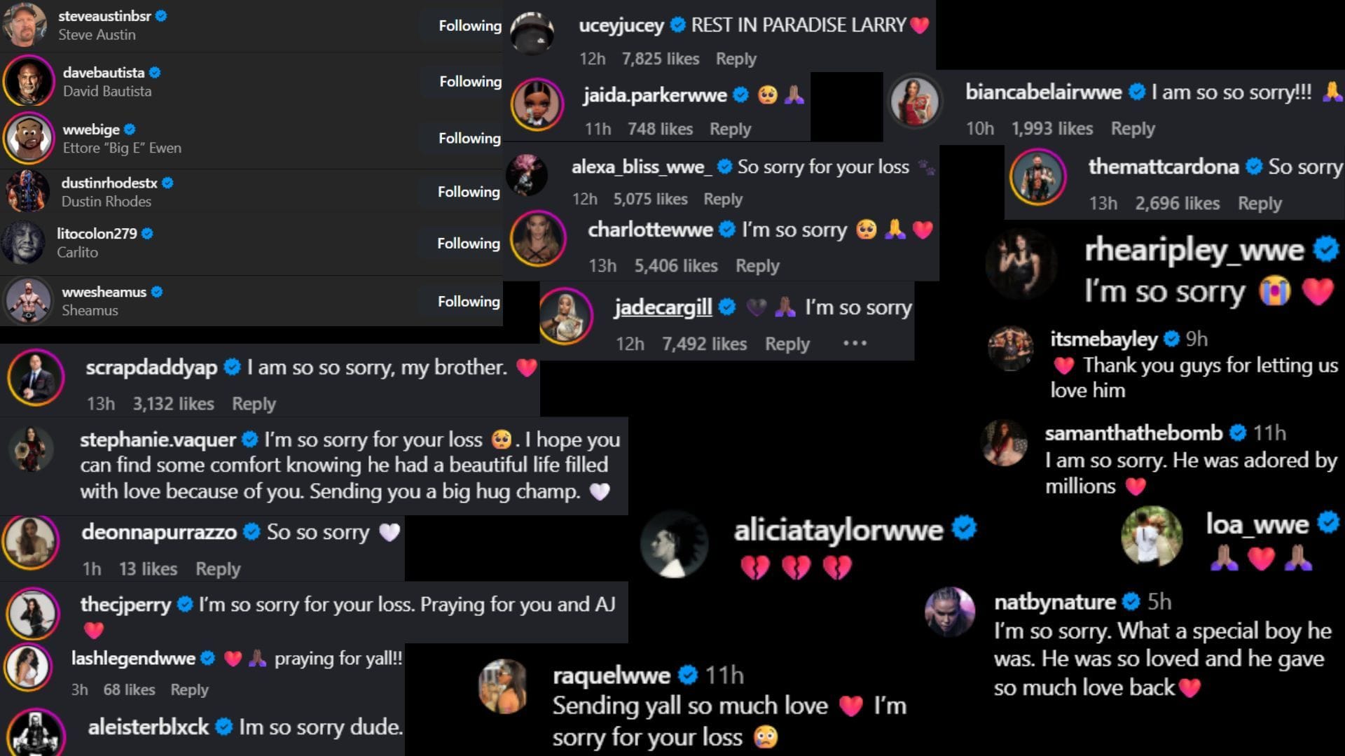 Screenshots of stars&#039; likes and comments [Image via @cmpunk on Instagram]