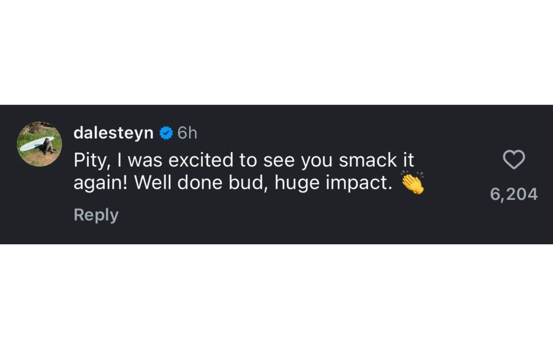 Screenshot of Dale Steyn&#039;s Instagram comment. (Instagram/gmaxi_32)