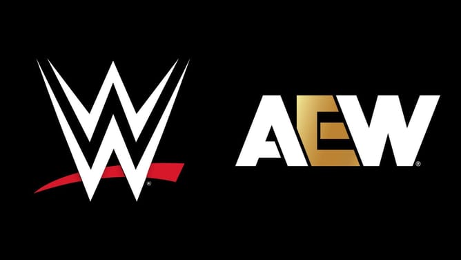 WWE veteran unhappy with AEW and calls out the company for introducing yet another title