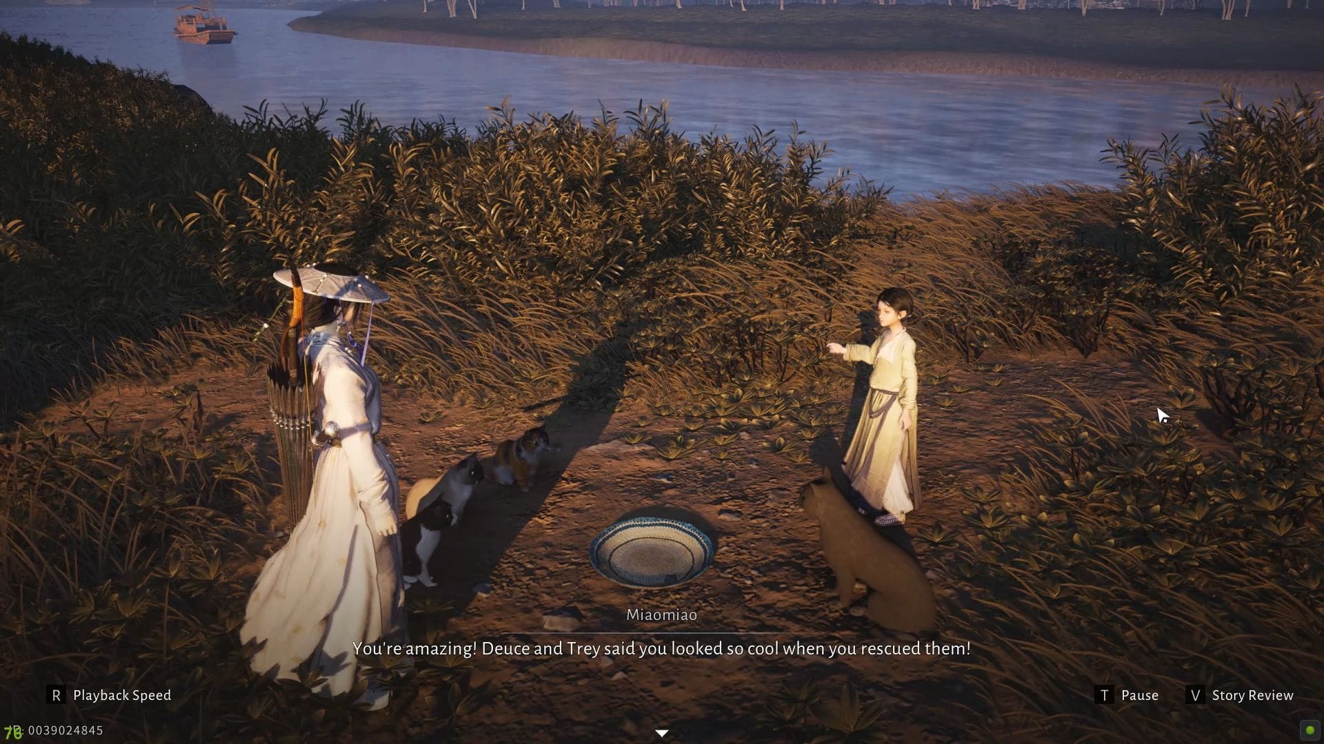 Location of the third cat (Image via NetEase)