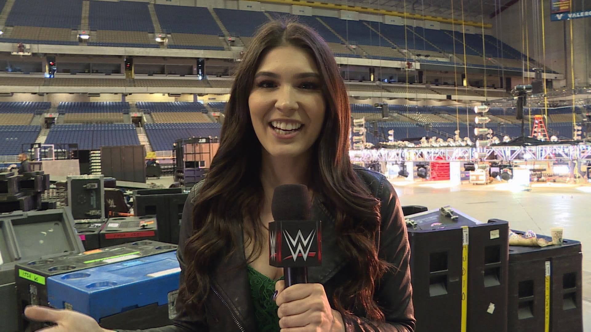 Cathy Kelley has had a tough time (image via WWE)