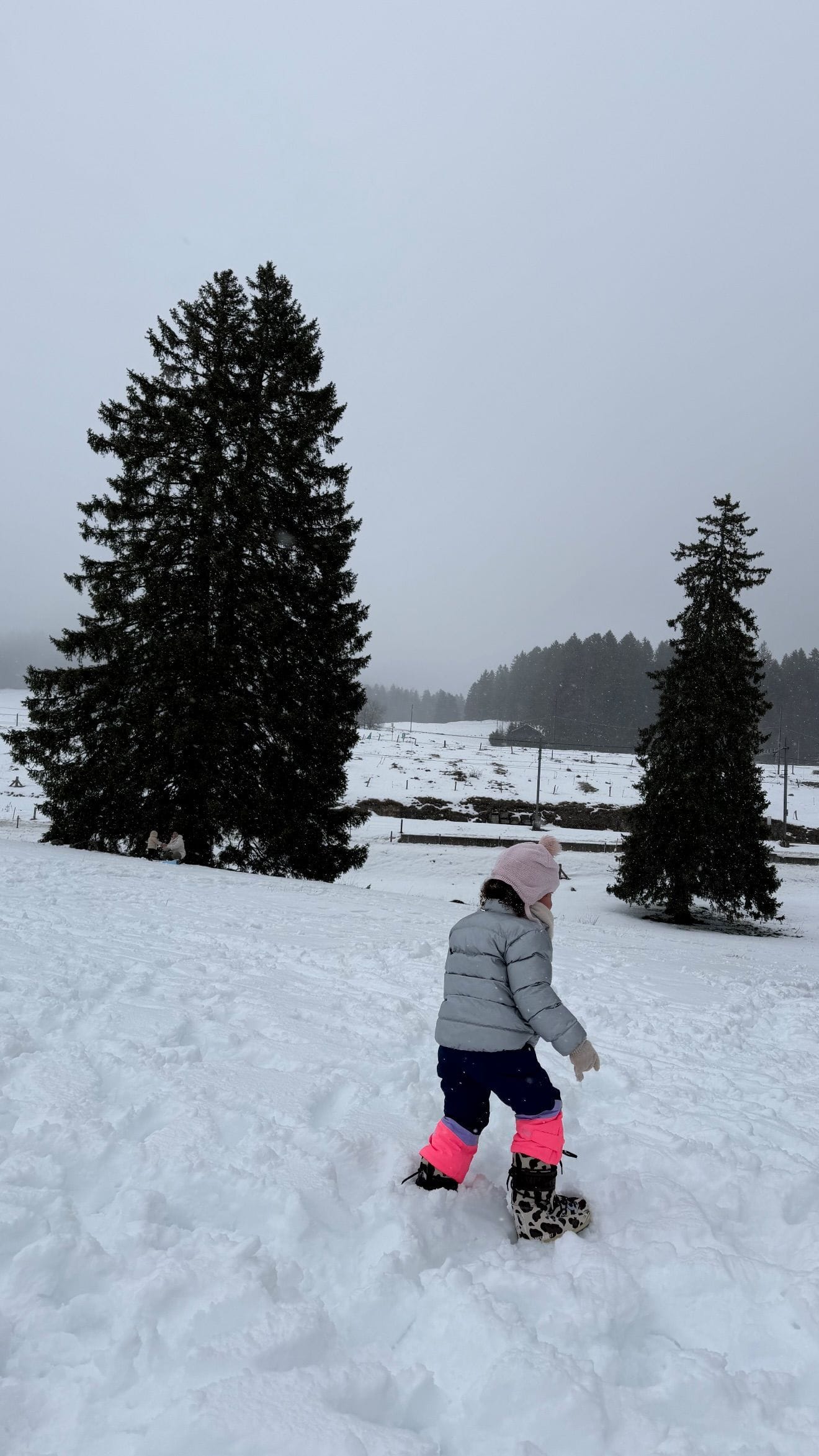 Elina Svitolina&#039;s Instagram story