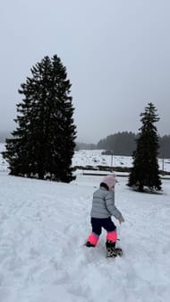 Elina Svitolina's Instagram story