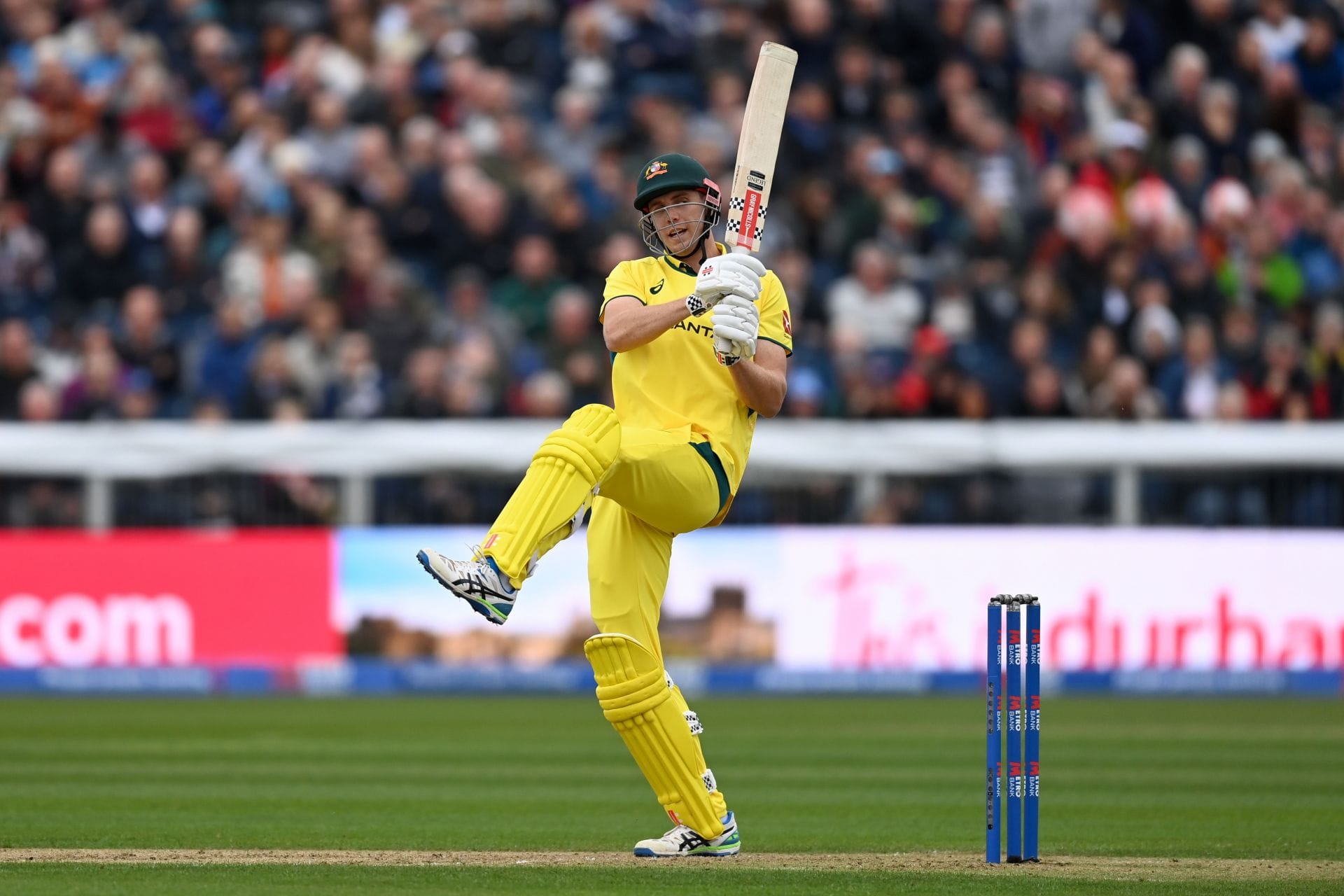 KKR break Mitchell Starc’s ₹24.75 crore report to signal Cameron Inexperienced at IPL 2026 public sale KKR break Mitchell Starc’s ₹24.75 crore report to signal Cameron Inexperienced at IPL 2026 public sale