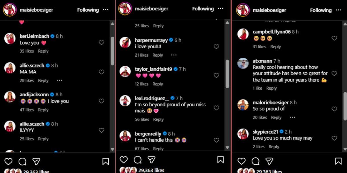 Screenshot of the Instagram post&#039;s comment section.