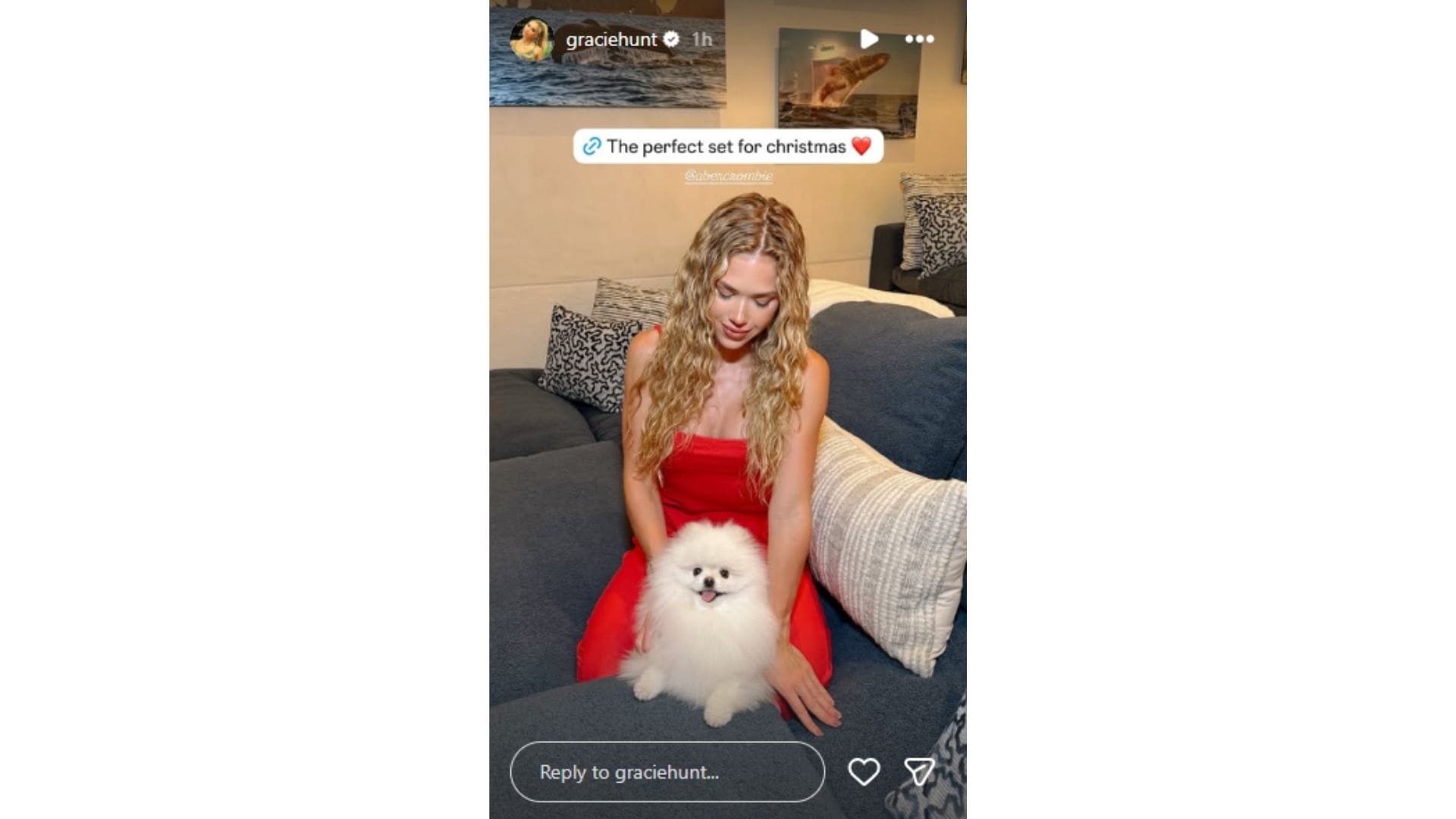 Hunt and her dog posed for Christmas photos. (Credit: @graciehunt)