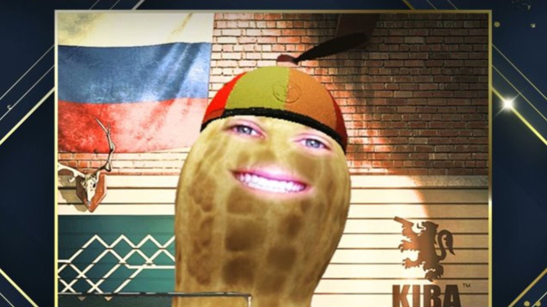 TheBurntPeanut took home Best VTuber at the 2025 Streamer Awards (Images via)