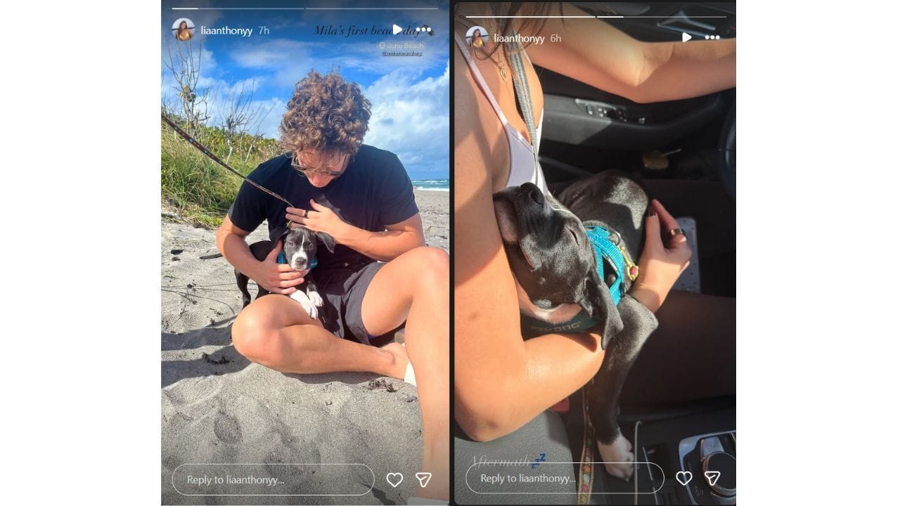 Lia&#039;s Instagram story