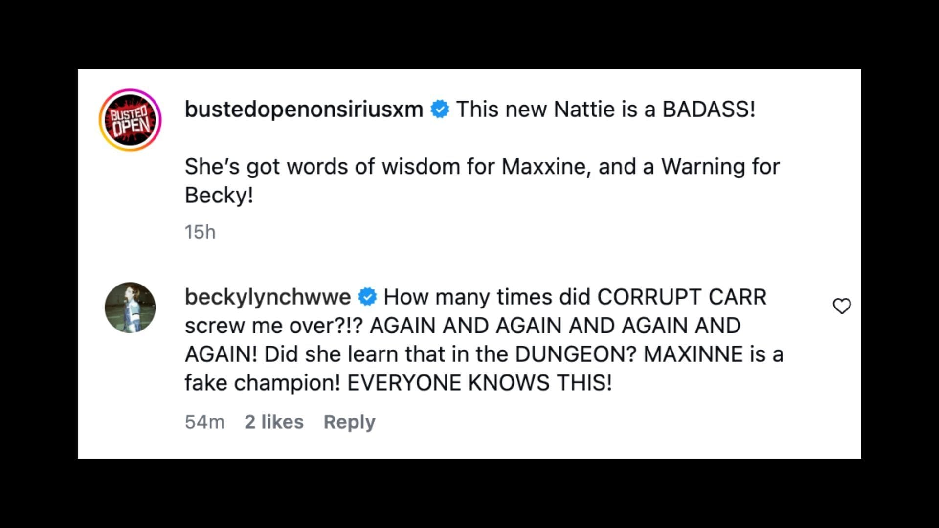 Lynch responded to Natalya&#039;s comments. [Image credit: Busted Open on Instagram]
