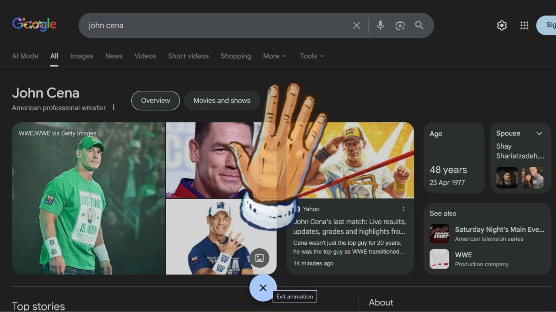 This appears when you search John Cena on Google (Image via Google)