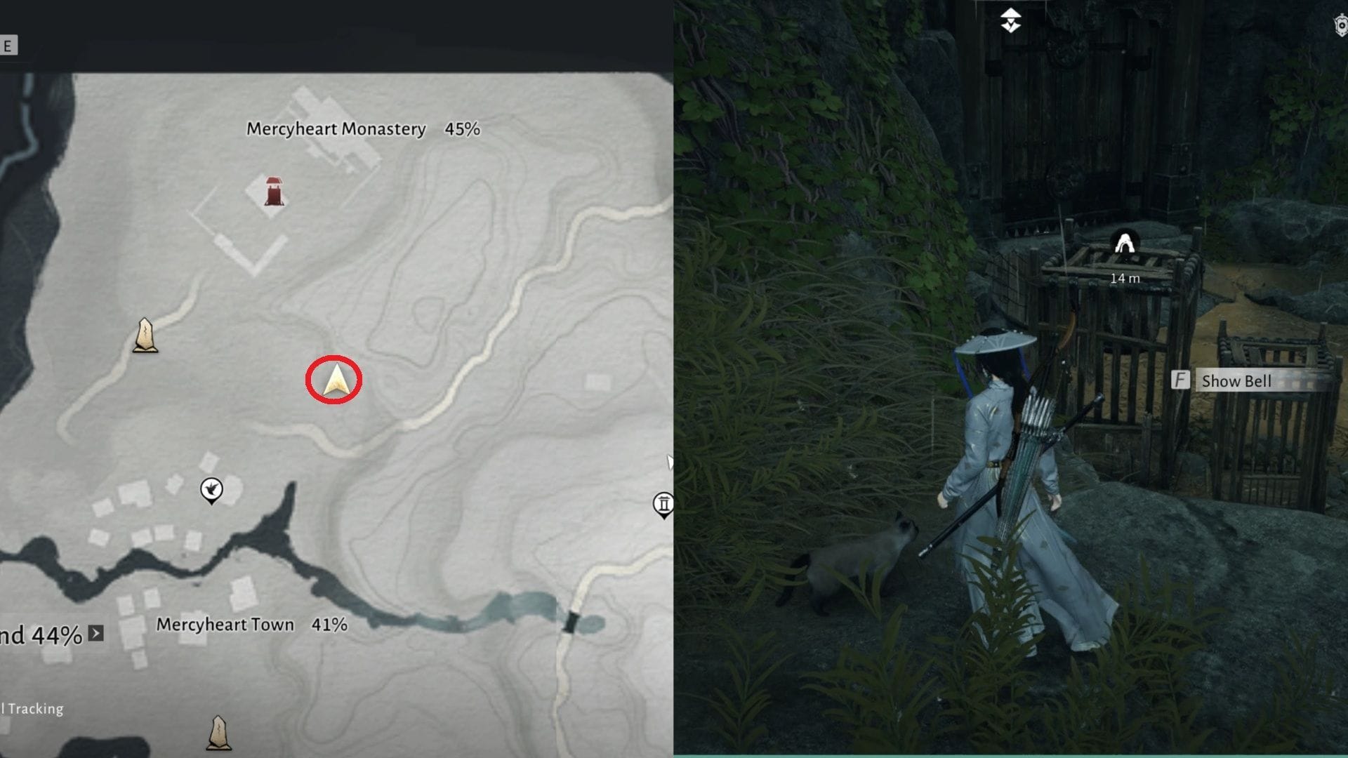 Location of the first cat (Image via NetEase)