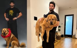 Who is "Kaya" and what does "Free Kaya" mean? Everything to know about HasanAbi's pet dog